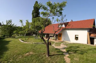 a house with a tree in the yard at Hiška pod Klumpo in Ormoz