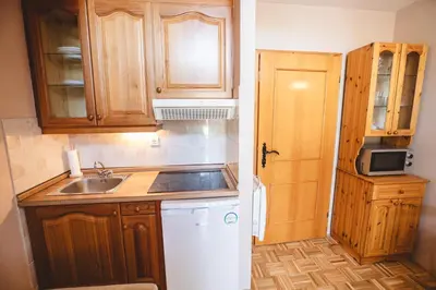 a small kitchen with wooden cabinets and a sink at POČITNIŠKI APARTMAJI - Vijolica 2 in Moravske Toplice in Moravske Toplice