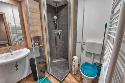 a bathroom with a shower with a blue toilet at Betlehem Resort in Zgornje Gorje