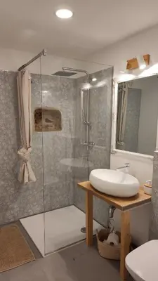a bathroom with a glass shower and a sink at Šilarjeva huba Apartment in Bohinjska Bistrica