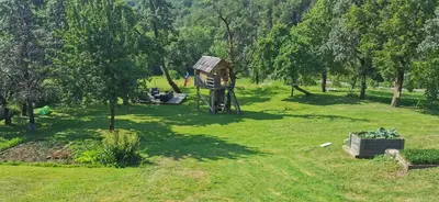 a park with a tree house in the grass at Šilarjeva huba Apartment in Bohinjska Bistrica