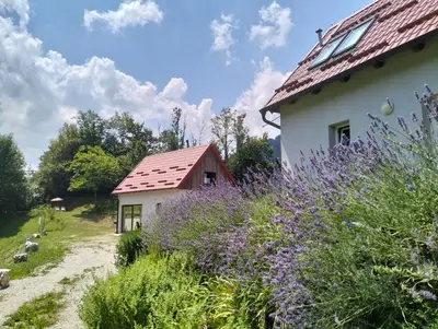 a house with a garden with purple flowers at Holiday home Dreams in Kobarid