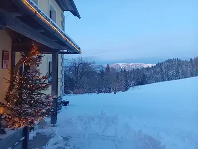 a christmas tree outside of a building in the snow at Apartments Čumar in Cerkno