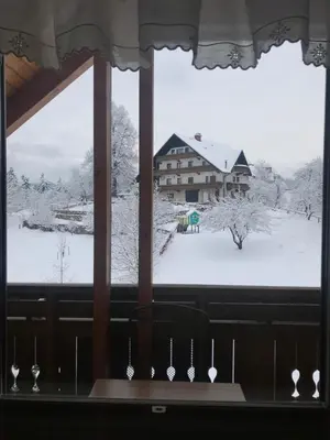 a window with a view of a house in the snow at Country House Apat in Šoštanj