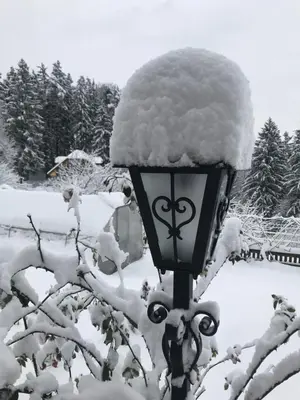 a street light covered in snow next to a tree at Country House Apat in Šoštanj