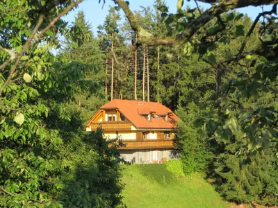 a house on a hill in the middle of a forest at Country House Apat in Šoštanj