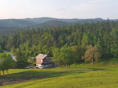 a house in the middle of a field with trees at Apartma narava in Begunje pri Cerknici