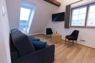 a living room with a couch and chairs and a tv at Boutique Hotel Vila Loka in Škofja Loka