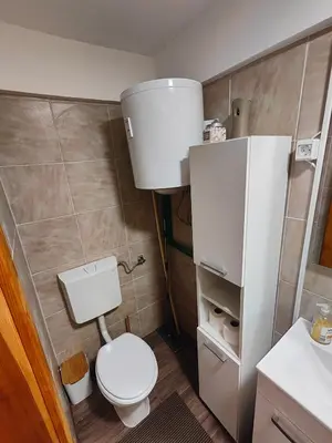 a small bathroom with a toilet and a refrigerator at Holiday Home Sveti Martin in Kobilje