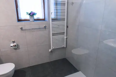 a bathroom with a shower with a toilet and a window at Apartma pr' Gamilcu in Tolmin