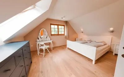 a bedroom with a bed and a vanity and a mirror at Old Taylor's house in Gradac