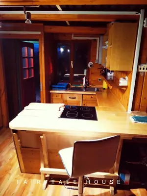 a kitchen with a stove and a counter top at Fairytale Wooden house by Ljubljana in Grosuplje