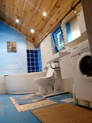 a bathroom with a washing machine and a tub and a toilet at Fairytale Wooden house by Ljubljana in Grosuplje