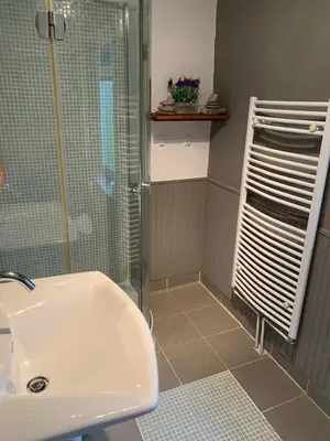 a bathroom with a shower and a white sink at Apartment Yiorgos in Bovec