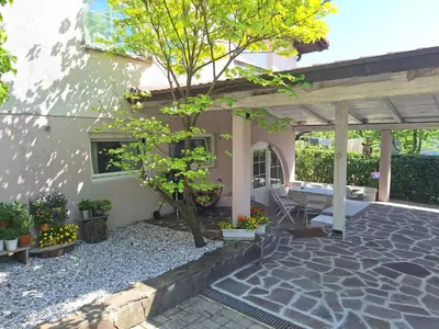 a patio of a house with a tree in it at Hiša odprtih vrat in Tolmin