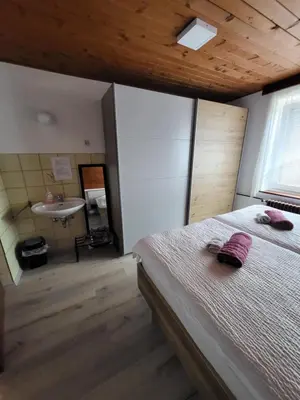 a bedroom with a bed and a sink in it at Rooms MARETČ in Bohinj