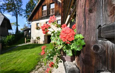 a pot of flowers on the side of a house at 2 Bedroom Stunning Apartment In Mozirje in Mozirje