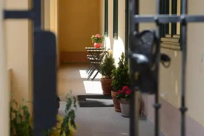 a hallway with potted plants in a building at B&B Castanea in Kostanjevica na Krki