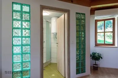 a bathroom with glass windows and a walk in shower at Zidan'ca Rošel in Dolenjske Toplice