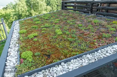 a garden with plants and rocks on the ground at Zidan'ca Rošel in Dolenjske Toplice