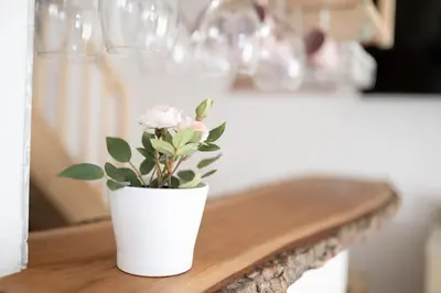 a white vase with a pink flower on a table at Duplex Apartma Nikolina in Spodnje Jarše