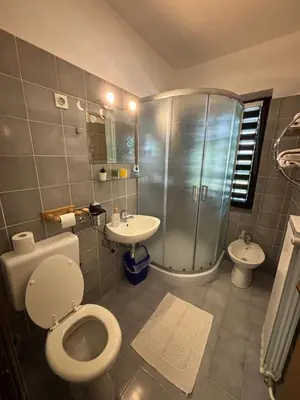 a bathroom with a toilet and a shower and a sink at Guest House Kmečki Hram FORTUNA in Idrija