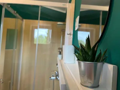 a potted plant sitting on a counter in a bathroom at Studio Apartma Olive, Nova Gorica, Slovenia in Nova Gorica