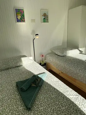 two twin beds in a room with a mirror at Studio Apartma Olive, Nova Gorica, Slovenia in Nova Gorica