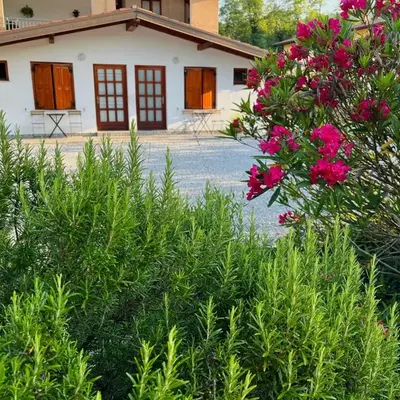 Studio Apartma Olive