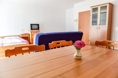 a vase with a pink flower sitting on a table at Apartments and Studios Perunika in Moravske Toplice