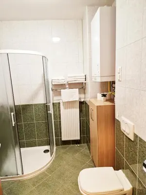 a bathroom with a shower and a toilet at Apartments and Studios Perunika in Moravske Toplice