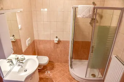 a bathroom with a shower and a sink and a toilet at Apartments and Studios Perunika in Moravske Toplice