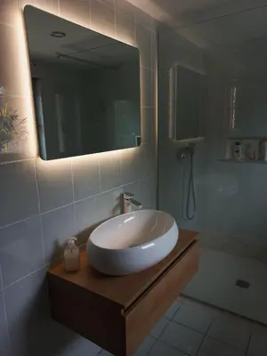 a bathroom with a sink and a mirror and a shower at Homestay Zajec in Grosuplje