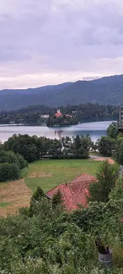 a house in a field next to a body of water at Apartma Bine in Bled