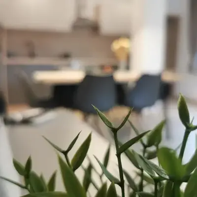 Apartma Bella Nadiža