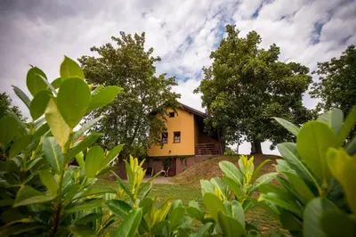 a house on top of a hill with trees at Počitniška hiša Car in Dobrovnik