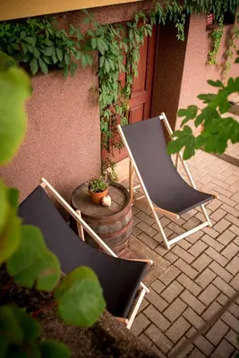 two chairs sitting on a patio with a plant at Počitniška hiša Car in Dobrovnik