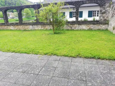 a green yard with a stone wall and a tree at Maestro I. in Laško
