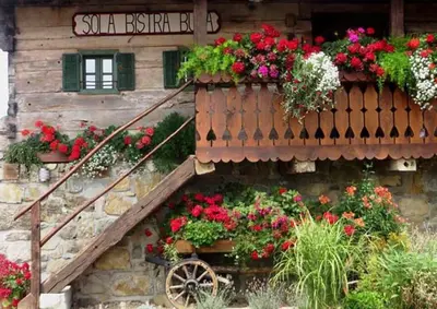 a house with flower boxes and a wooden staircase at KOLPA - Luxury Natura House in Gradac