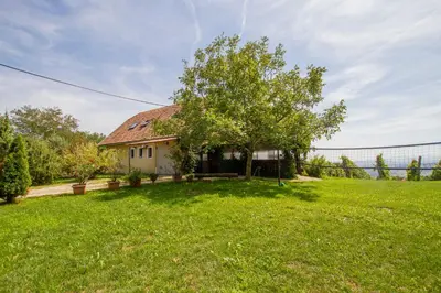 a house with a tree in a yard at Holiday Home Juričko with private Sauna in Bizeljsko