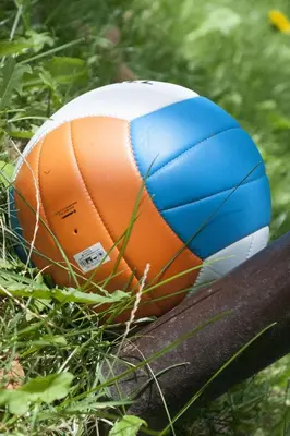 a soccer ball sitting on the grass next to a ball at Holiday Home Juričko with private Sauna in Bizeljsko