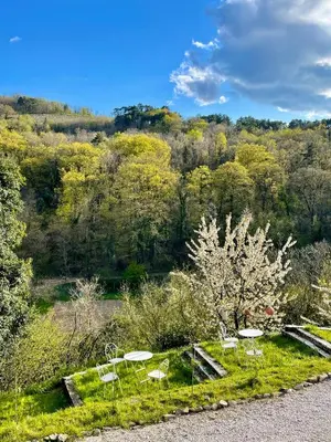 a group of chairs and a tree with flowers at Kotič na hribu in Dobravlje