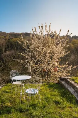 a table and chairs in the grass with a tree at Kotič na hribu in Dobravlje