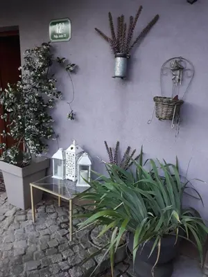 a table with a bird house on a wall with plants at ART ROOM in Rose resort in Ljubljana