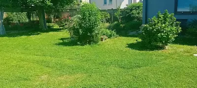 a yard with green grass and two bushes at ART ROOM in Rose resort in Ljubljana