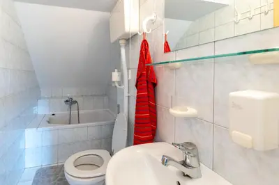 a small bathroom with a toilet and a sink at Apartment Planika in Bohinj