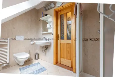 a bathroom with a toilet and a sink at Apartments Omahen in Bohinj