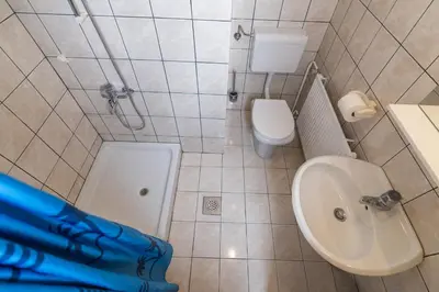 a small bathroom with a toilet and a sink at Apartments Darinka Mencinger in Bohinj