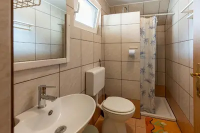 a bathroom with a toilet and a sink and a shower at Apartments Darinka Mencinger in Bohinj