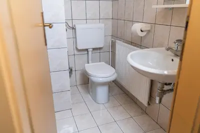 a bathroom with a toilet and a sink at Apartments Darinka Mencinger in Bohinj